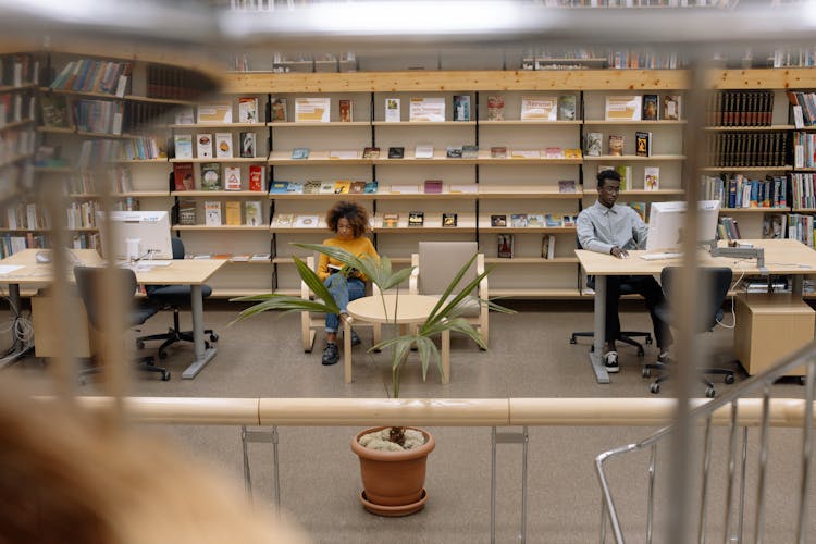 People Sitting On Chair In Library