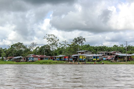 Free stock photo of bull, casanare, Cebu