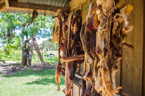 carne, kolombiya, kurutulmuş sığır eti içeren Ücretsiz stok fotoğraf