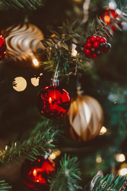 Free Close-up of a Christmas tree adorned with red and gold ornaments and twinkling lights. Stock Photo