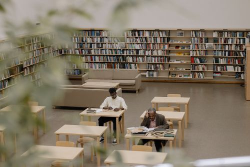 A Student Studying in the Library · Free Stock Photo