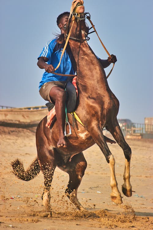 Man Horseback Riding 