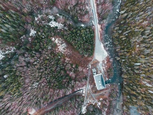 Free Breathtaking aerial view of leafless and green fir trees growing in forest near wild river on winter day Stock Photo