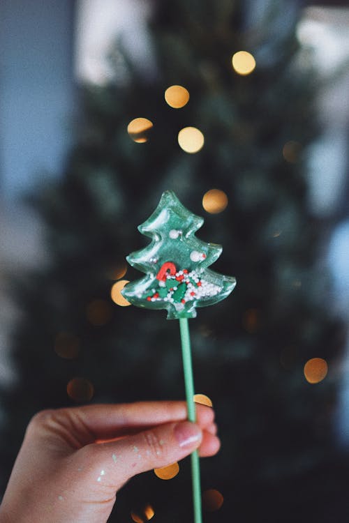 Fotos de stock gratuitas de árbol de Navidad, chupa-chup, dedos