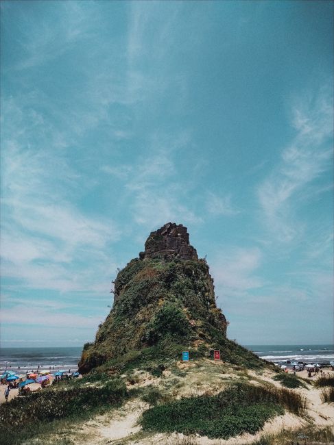 Picturesque scenery of rough rocky cliff with green plants and moss on sandy beach near blue sea