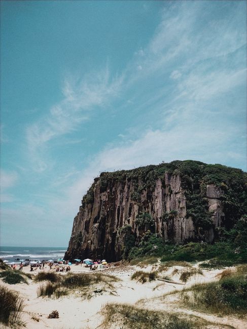 Picturesque scenery of rough rocky cliff with green plants and moss near wavy sea in sunny day