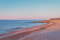 Person in White Shirt Standing on Seashore