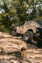 White and Black Jeep Wrangler on Brown Dirt Road Near Green Trees