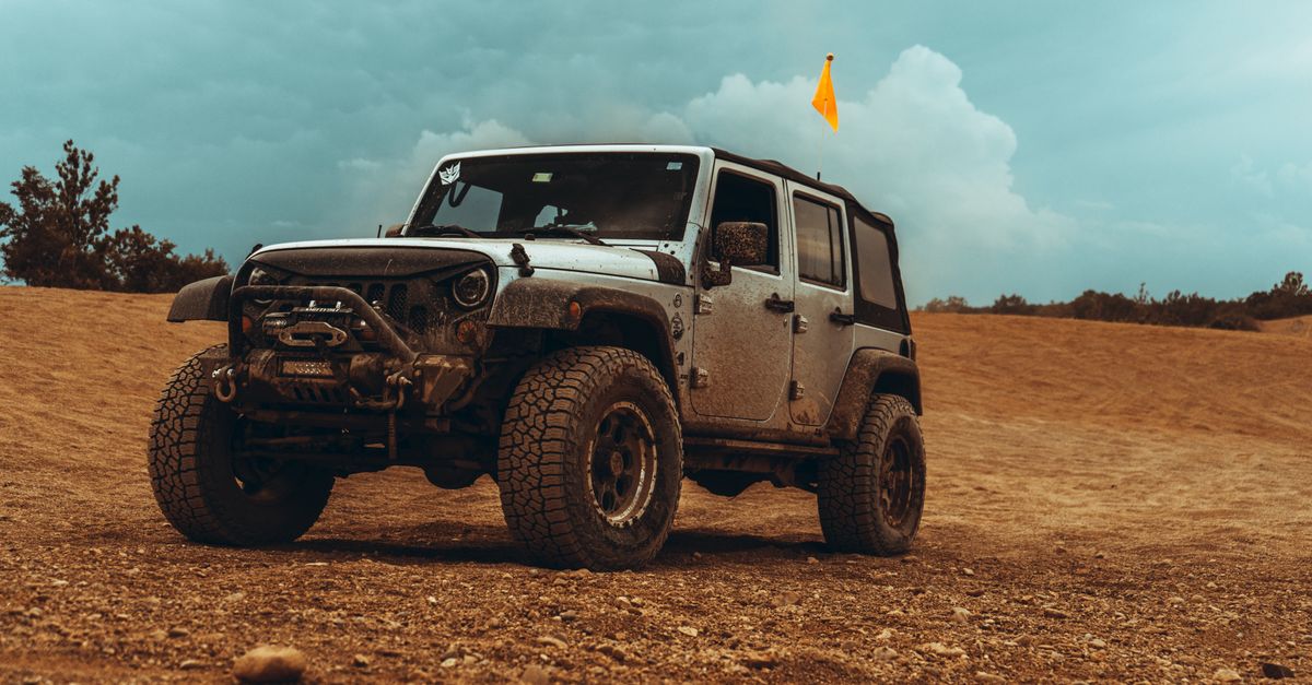 Jeep survey