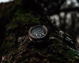 Black Chronograph Wristwatch Laid on Tree Trunk