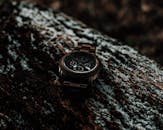 Fossil Wristwatch on Tree Trunk
