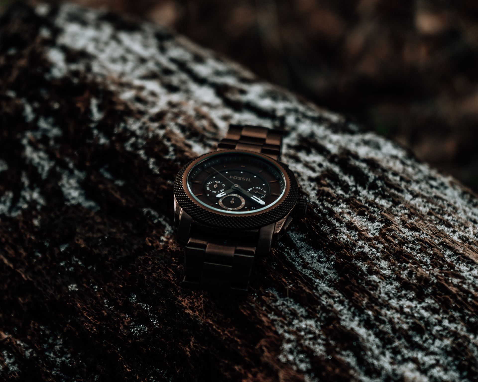 Close-up of a Fossil watch resting on a snow-covered tree trunk, showcasing elegance and texture.