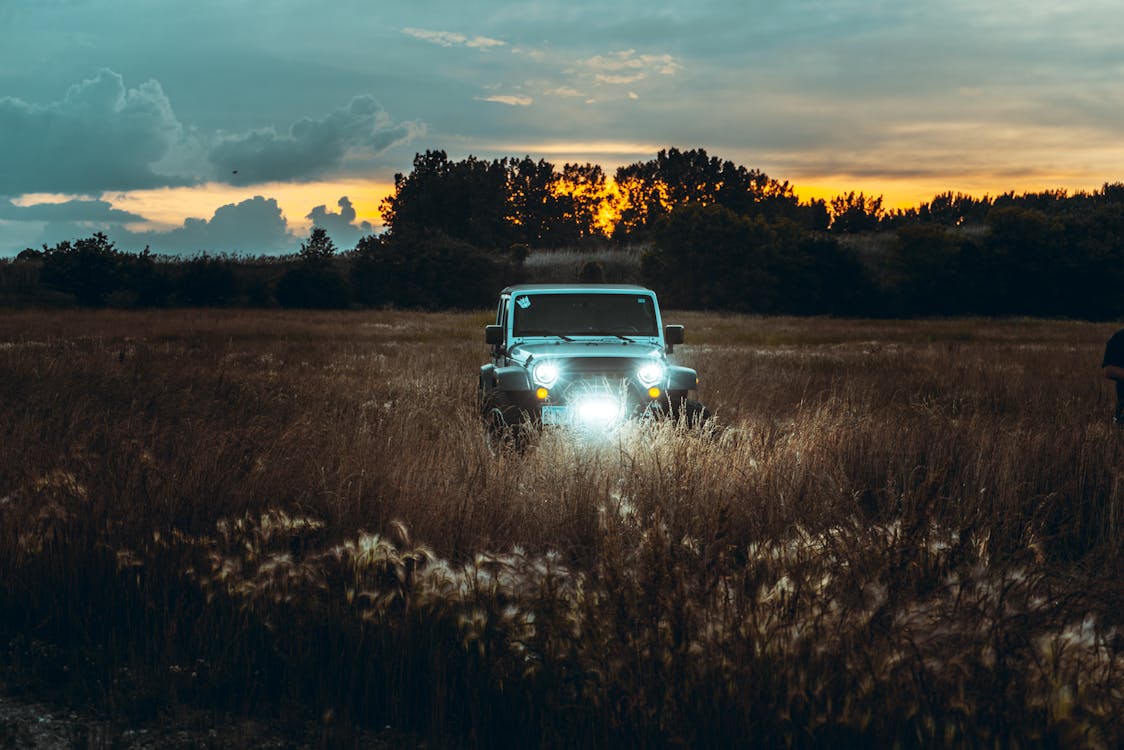 Free Jeep Driving on a Grass Field During Sunset Stock Photo