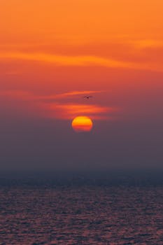 A tranquil scene of the sun rising over the ocean with a bird in flight, offering a peaceful start to the day.