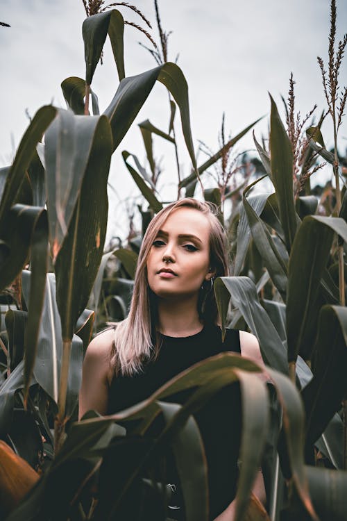 Stylish woman among corn plants on farmland