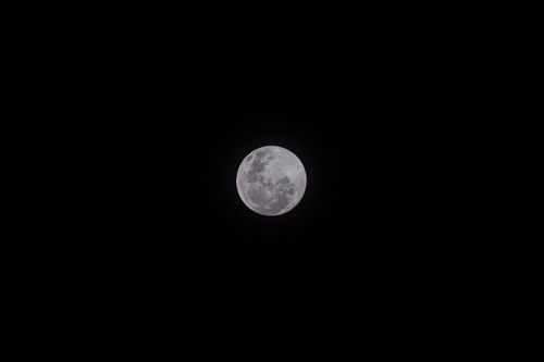 Free A stunning full moon against a dark, starless night sky. Stock Photo