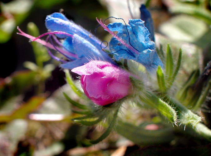 Difference Between 300 Win Mag And 300 Weatherby Mag Difference