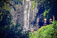一群朋友在郁郁葱葱的雨林中探索，欣赏着附近壮丽瀑布的自然美景