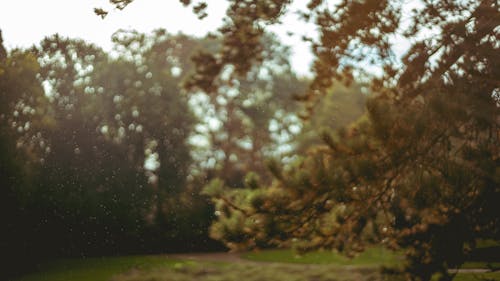 公園, 漆黑, 雨 的 免費圖庫相片