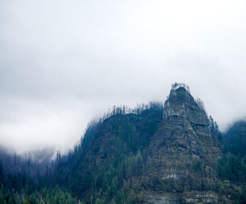 Misty sky over rocky mountain covered with green forest