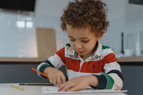 Free A young child focused on drawing with colored pencils at a table indoors, displaying creativity and concentration. Stock Photo
