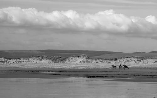 People Riding Horses on Beach