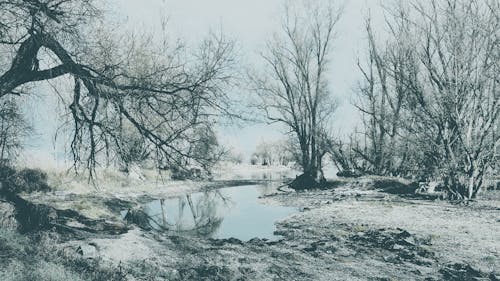 Free stock photo of cold, filters, landscape Stock Photo