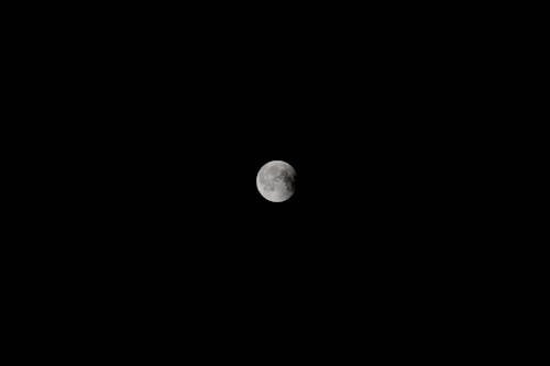 Free Full Moon in Dark Night Sky Stock Photo