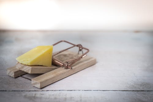 Free Brown Wooden Mouse Trap With Cheese Bait on Top Stock Photo