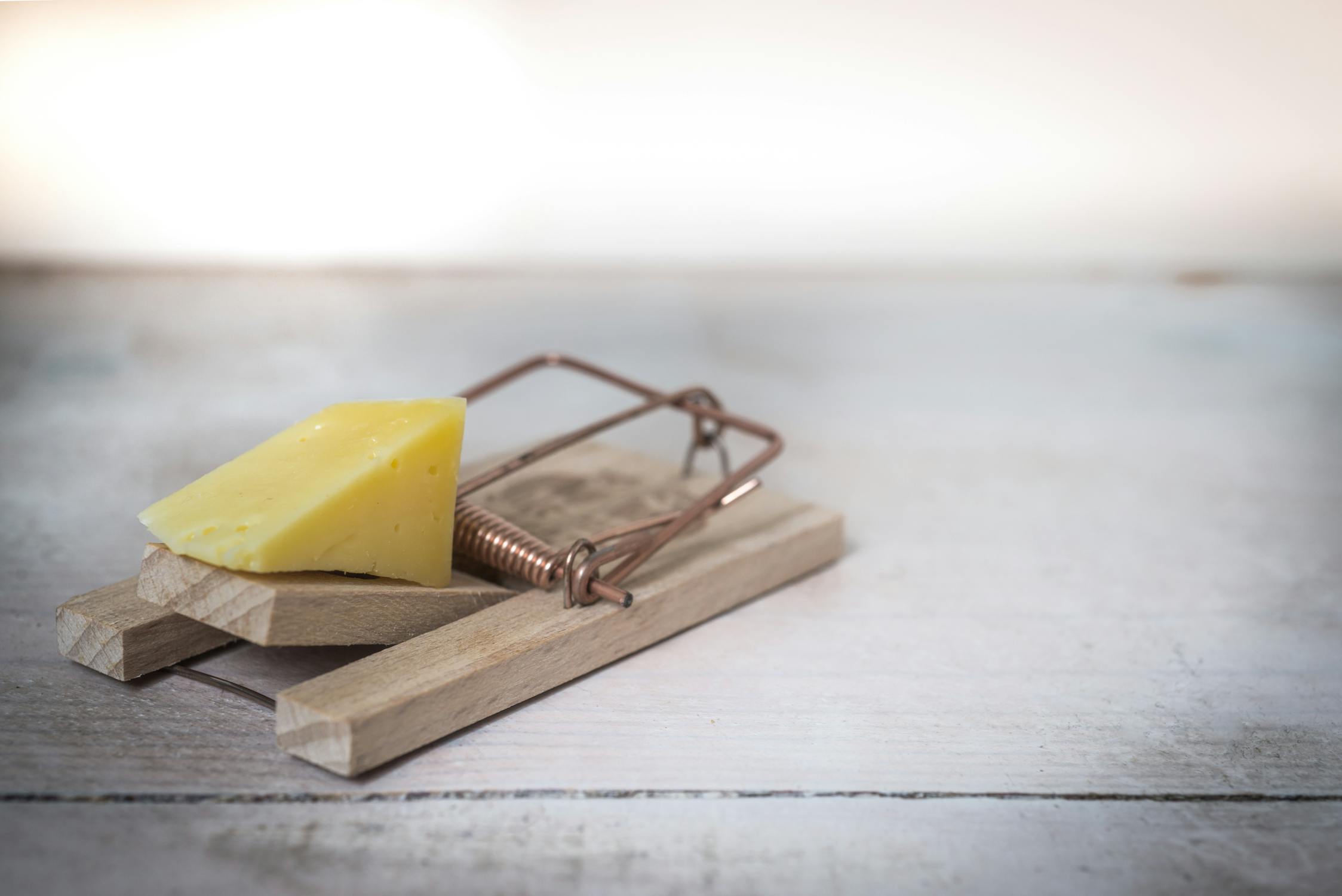 A cheese in a mousetrap.