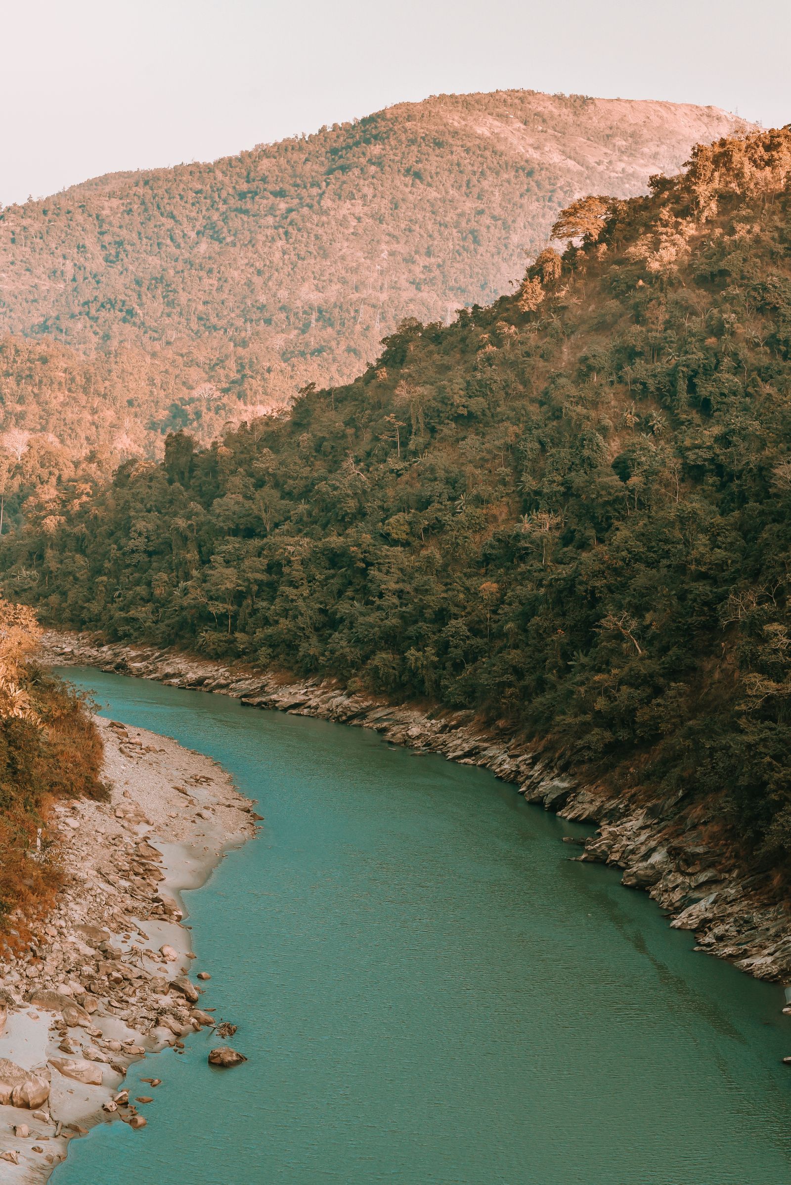 The jade green Teesta curving between forested hills in warm low sun near Siliguri, where the river leaves the mountains