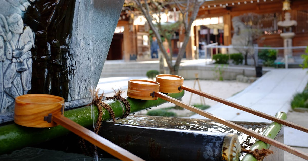 How does bamboo grow in water