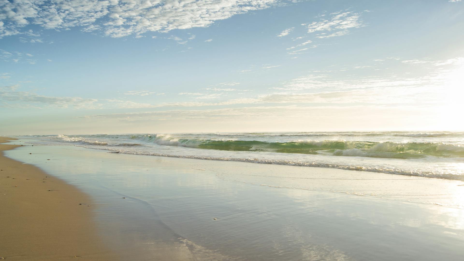 Seashore Under Clear Blue Sky