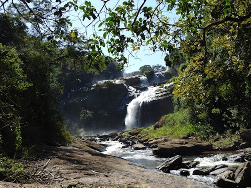 Free Photo of Waterfalls Flowing  Stock Photo