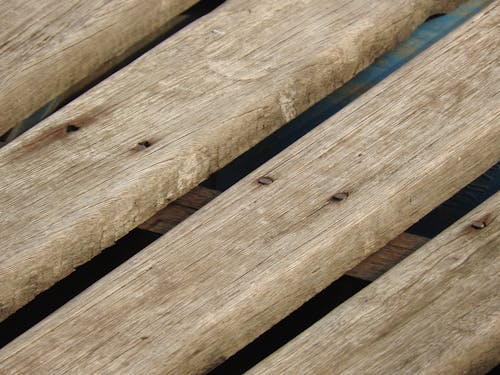 Free stock photo of texture, wood texture Stock Photo