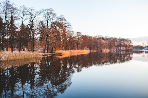 Colorful trees mirroring in the lake