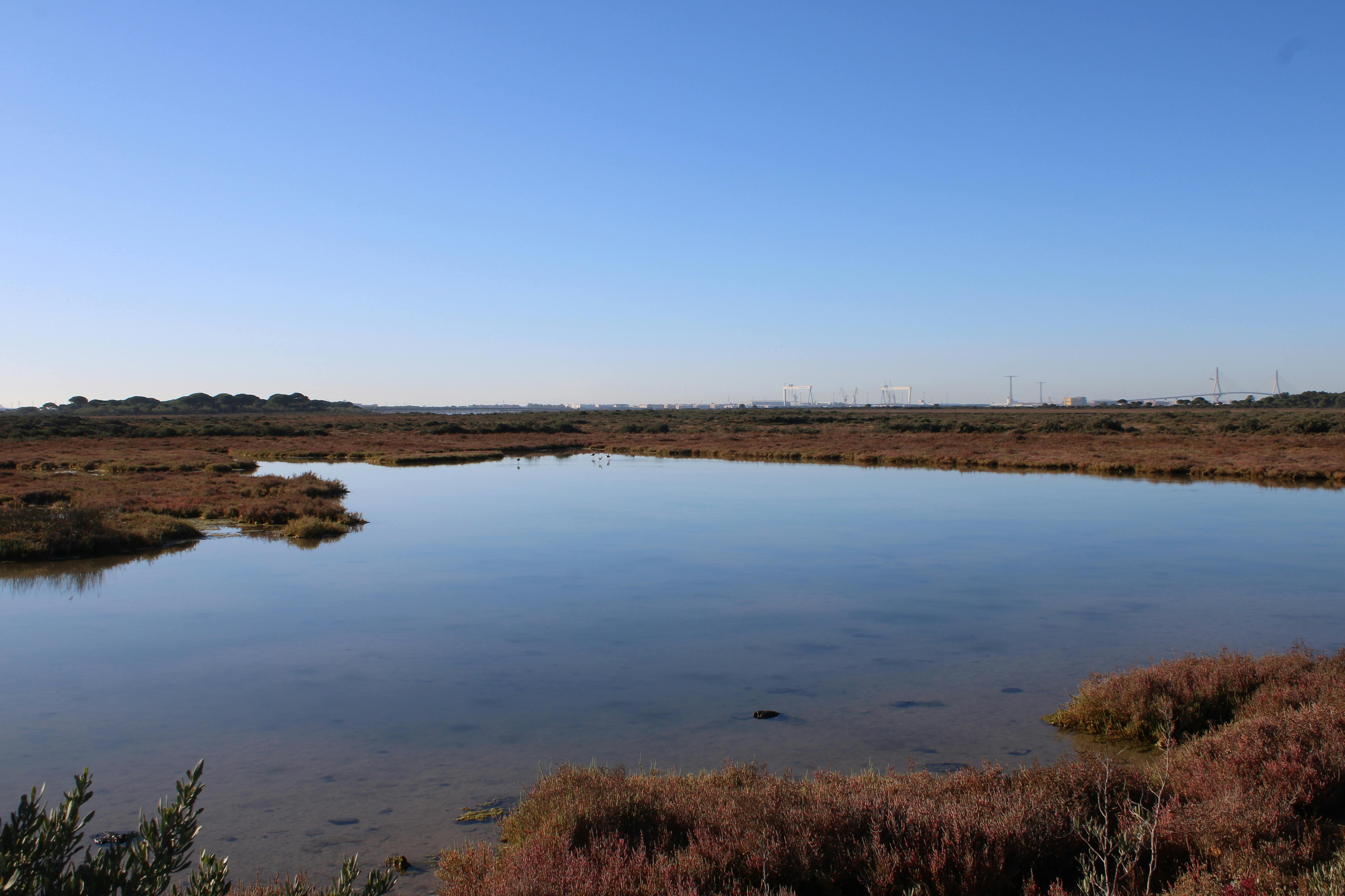 Argentina fans celebrating