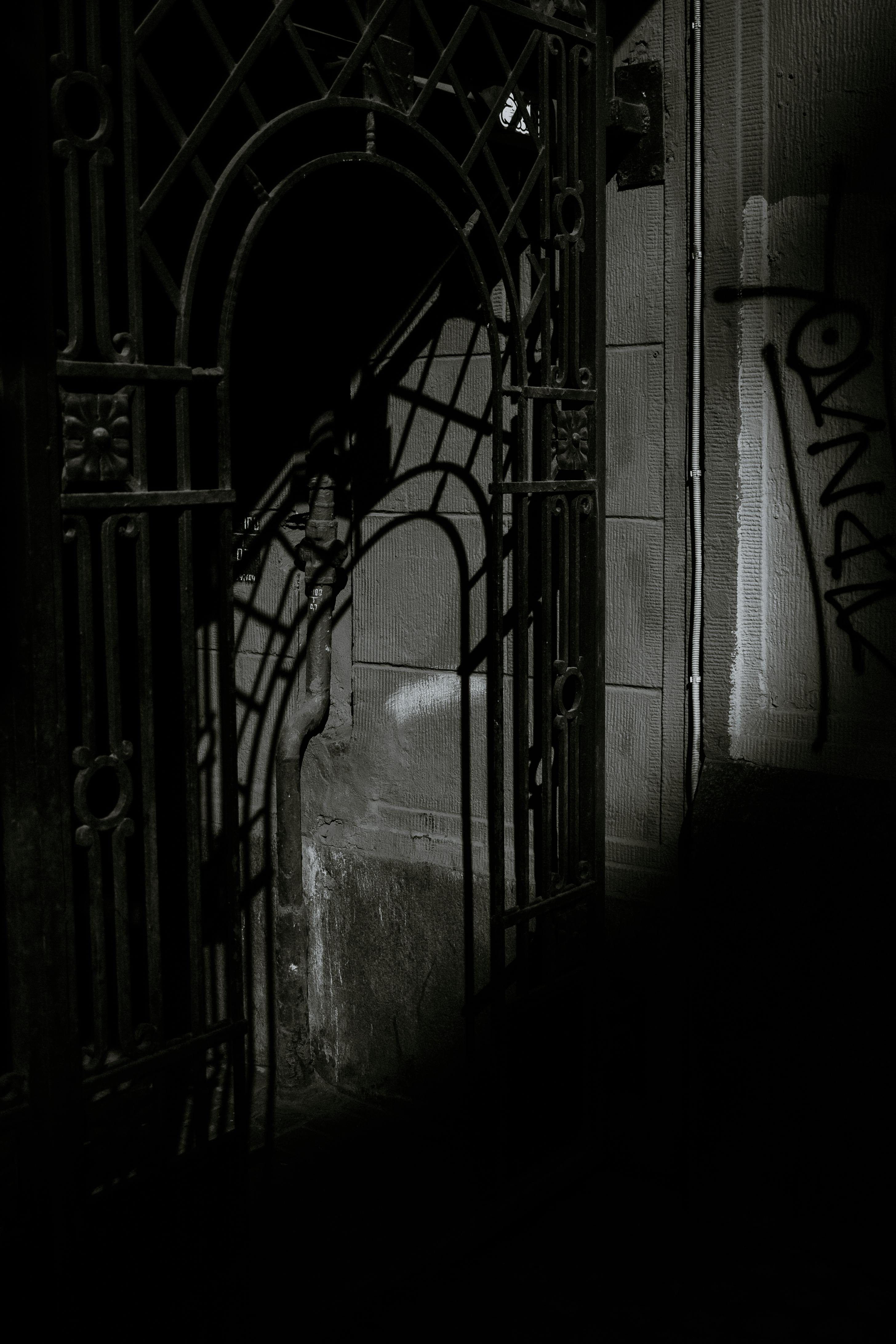 Free A detailed black and white photo of an iron gate casting intricate shadows on a textured urban wall at night. Stock Photo