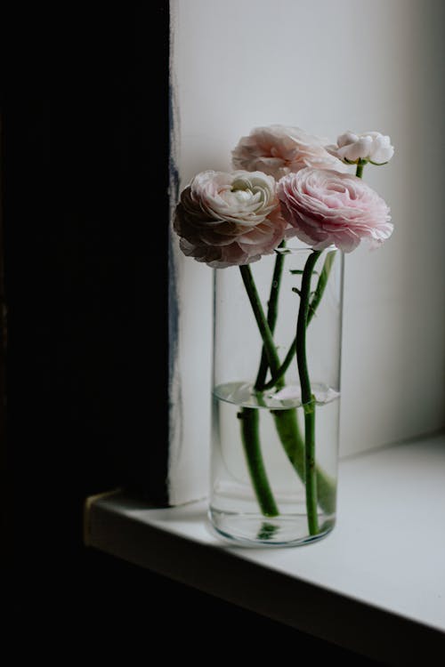 Bouquet of aromatic ranunculus flowers in vase on windowsill