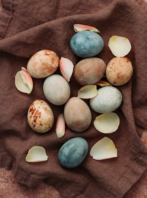 Free Eggs with flower petals on cloth Stock Photo