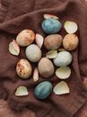 Eggs with flower petals on cloth