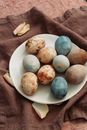 From above of painted chicken eggs on ceramic plate placed above fabric near petals for Easter celebration
