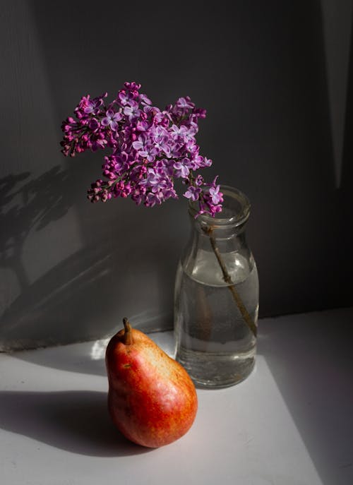 Branch of lilac in glass bottle near ripe pear