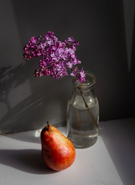 High angle of fresh blooming lilac in bottle with water placed near ripe fruit