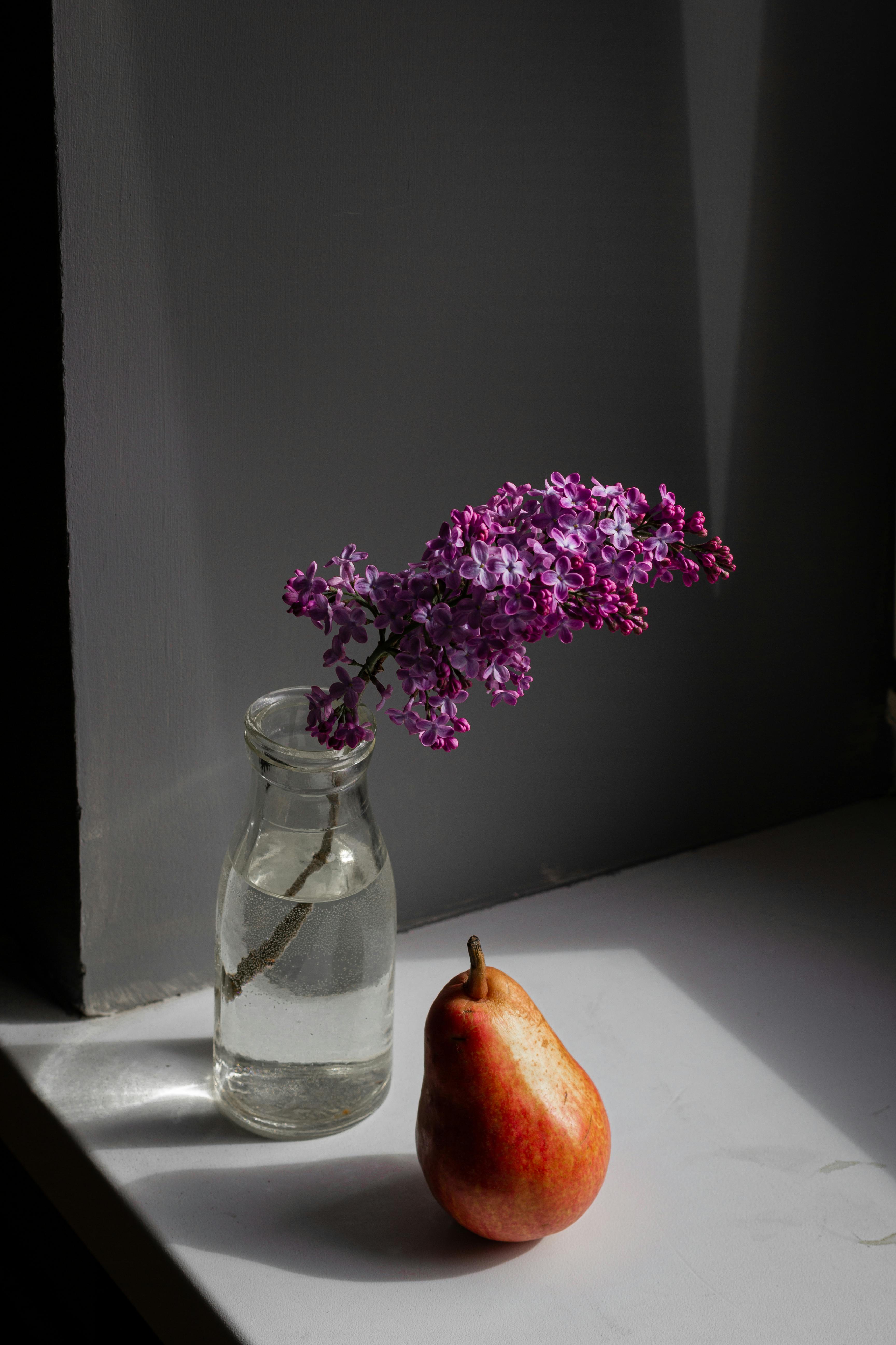 branch of lilac in water near pear