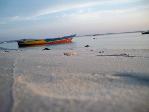 Photos gratuites de bateau, mer, plage