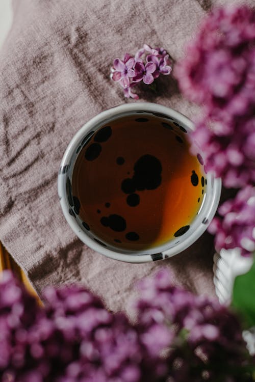 Free Herbal tea with blooming flowers on table Stock Photo