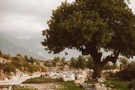 Free stock photo of countryside, fall, hill