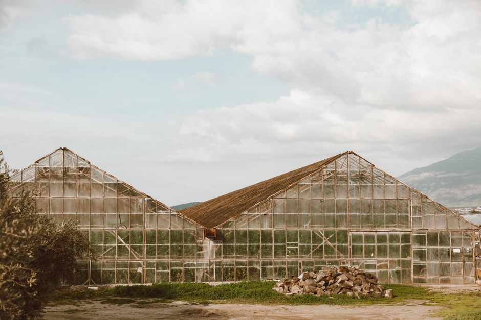 Greenhouse Gardens