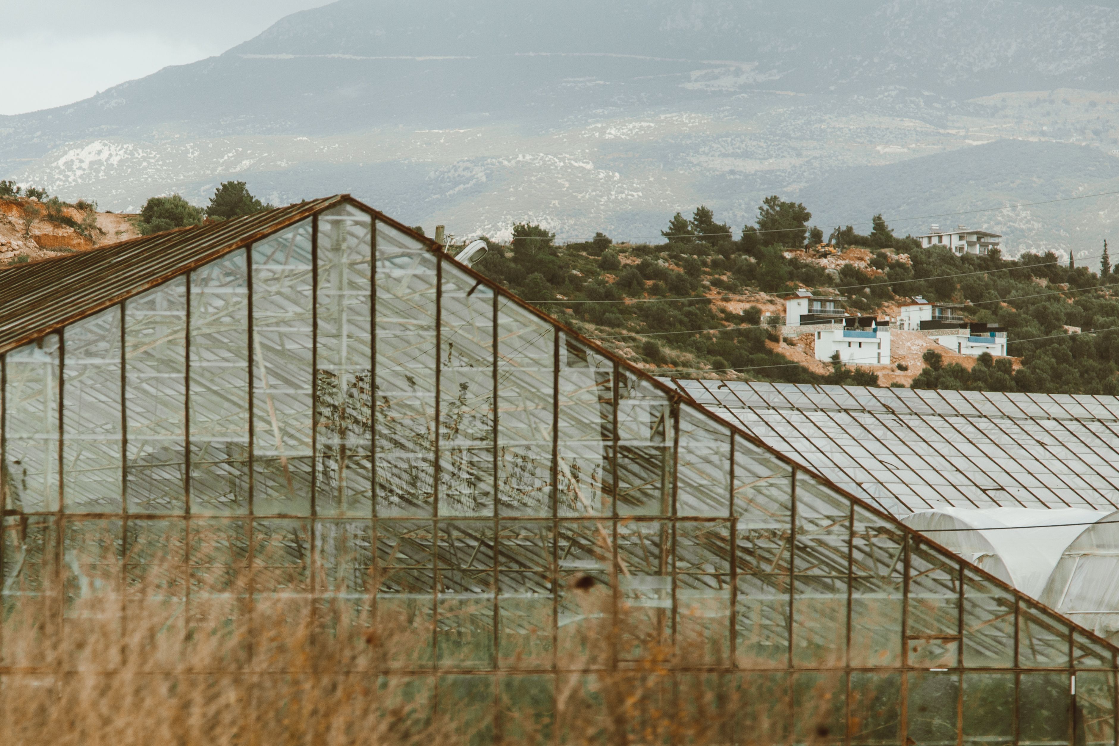 A scenic view of rustic glass greenhouses set against a mountainous backdrop with scattered rural houses.